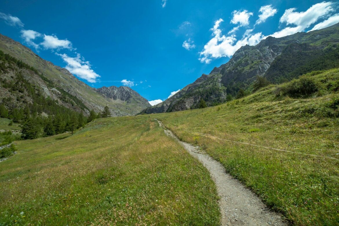 a path in the middle of a field with mountains in the background
